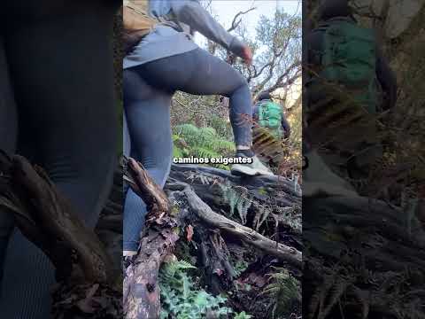 La magia escondida de Traslasierra ✨ | Trekking a Los Chorros, La Población, Córdoba.
