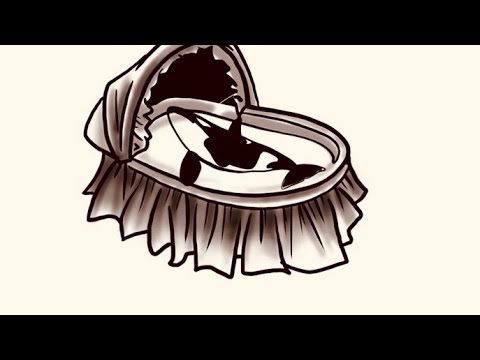 2ndChancesimpkins speaks on savii 3rd,TREY FOXX,MoneywaveEmpire loses $5K,COUNTRY CRIPS!!