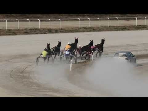 Trka "Fantastique" 22.09.2019 Jimmy-Oaks - Milan Tasić