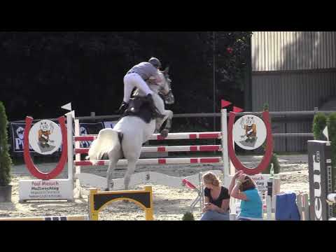 26.07.2020 Vlotho-Exter: Großer Preis (1,40) - Matthias Berenbrinker/Clint 31