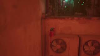 [PS5]Stray 実況