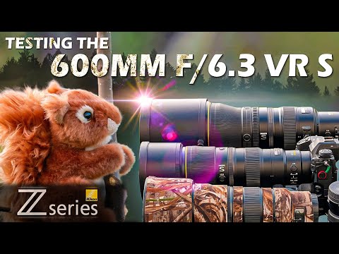 Nikon Z Telephoto Lens Showdown | NEW 600mm f/6.3 VR S vs. 400mm f/4.5 VR S vs. 400mm f/2.8 TC VR S
