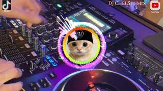 Download lagu DJ DI SINI KITA SENANG JANGAN DI BIKIN TEGANG - DJ GOYANG DAYUNG TERBARU 2024 VIRA DI TIK TOK mp3 Download lagu DJ DI SINI KITA SENANG JANGAN DI BIKIN TEGANG - DJ GOYANG DAYUNG TERBARU 2024 VIRA DI TIK TOK mp3