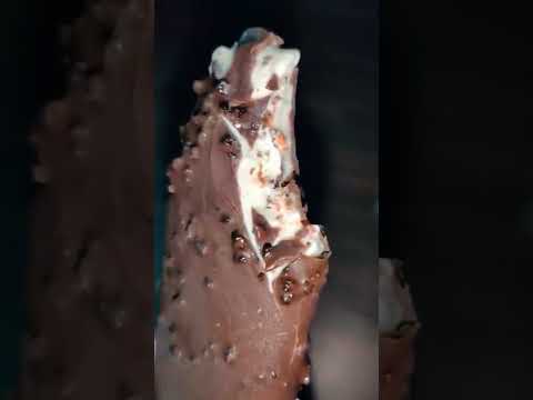 KWALIT WALL'S 🍦🍦Black forest FEAST🍦🍦