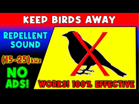 ANTI BIRDS REPELLENT SOUND 🚫🐦 KEEP BIRDS AWAY - ULTRASONIC SOUND