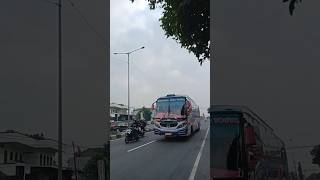 Download lagu Klakson Putus' ala Sugeng Rahayu Bus Jawa Timur an #trending #busmania #bus mp3