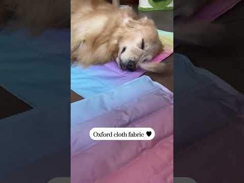 Chillax with the Dog Ice Mat! 🐾🧊