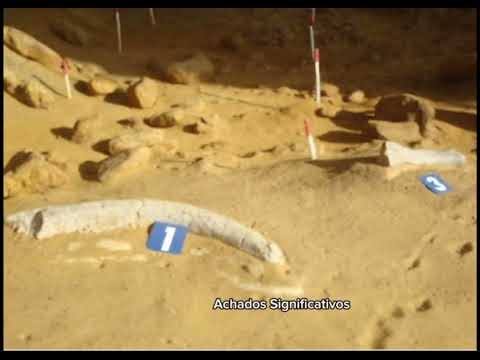 Trabalho de história: Taima taima. Integrantes: Ryan, Vinícius, João Pedro e Kleymix