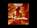 Hound Dog Taylor - Walking The Ceiling