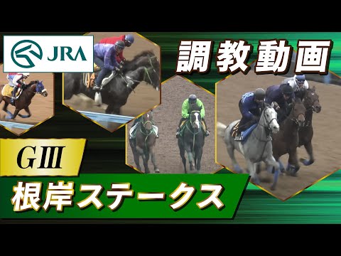 【調教動画】2026年 根岸ステークス｜JRA公式