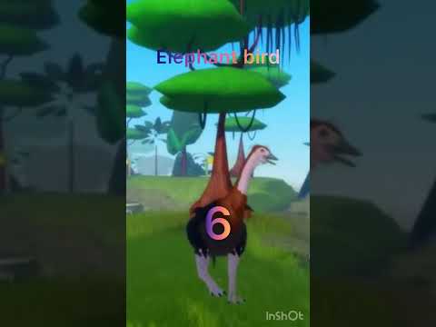 Top 9 strongest creatures in feather family