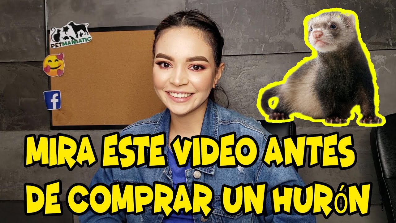 Watch Mira este Video antes de comprar un Huron. Now Mira este Video antes de comprar un Huron.