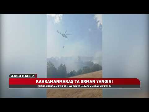 Türkoğlu’nda Orman Yangını! Havadan Ve Karadan Müdahaleyle Kontrol Altına Alındı