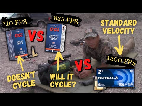 Ruger 10 22 Takedown Review (Cool Little Ruger 22lr Rifle)