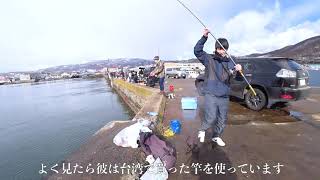 余市で春ホッケ釣ってフライと一夜干しでいただく