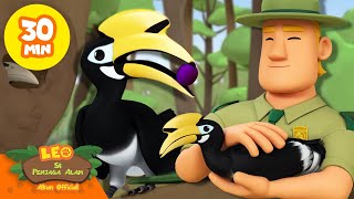 Download lagu Induk rangkong memberi makan bayinya! 🐧🦉 | Leo Si Penjaga Alam | #hewan mp3