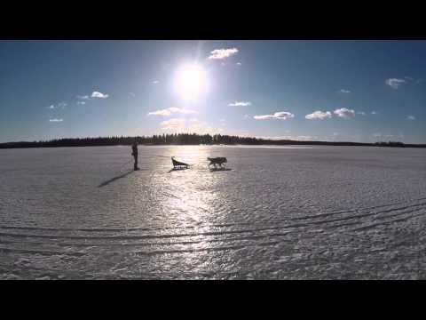 Baltic Sea - Töre - 2015