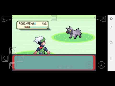Pokemon dual locke ep.1