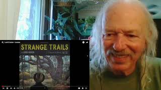 Lord Huron  Louisa  REACTION