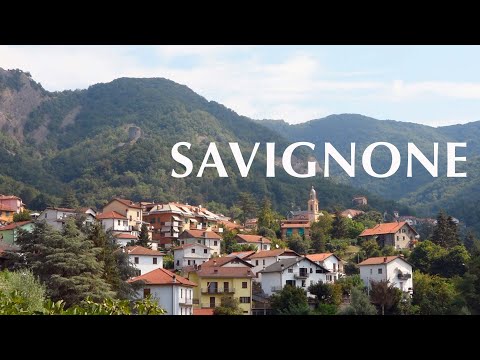 Savignone