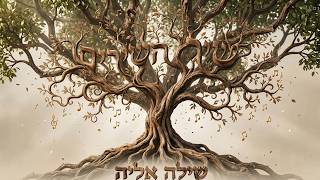 שיר ללא שם