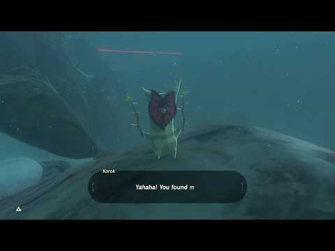 BotW: We take those?