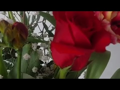 Maria Avadanei - Mama (cover Amelia Uzun) LA MULȚI ANI, MAMA!