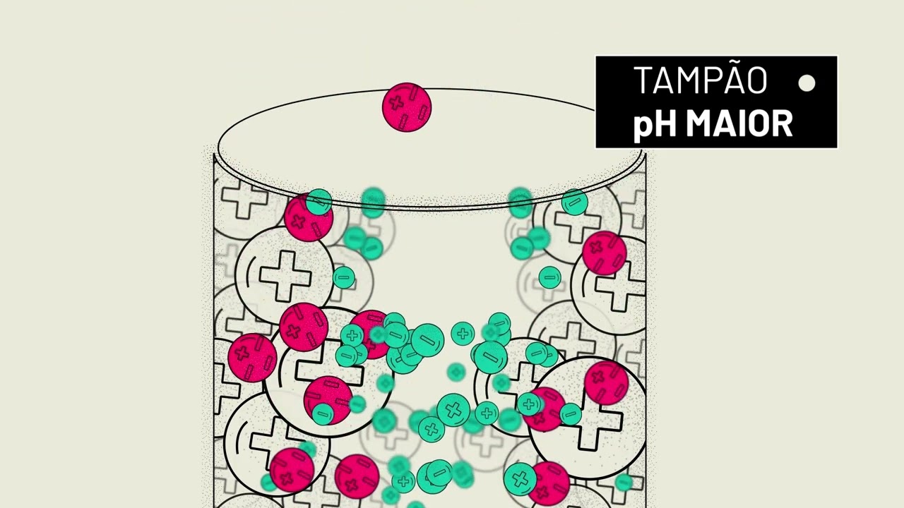 Cromatografia de troca iônica