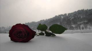 Roomful of Blues - The love you lost on the way