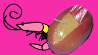 How many grapes do you to eat? (Flamingo they did surgery on grape meme)