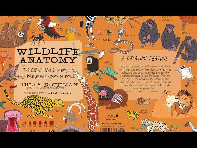 Vídeo relacionado con La vida salvaje: Secretos y curiosidades del mundo animal (VARIOS)