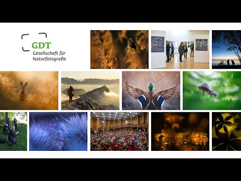 GDT – Naturfotografie verbindet!