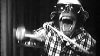 Rock N Roll Banjo Playing Hitler!