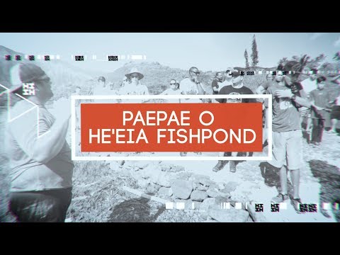 HIFINEST TV - FEATURE STORY - PAEPAE O HEʻEIA FISHPOND
