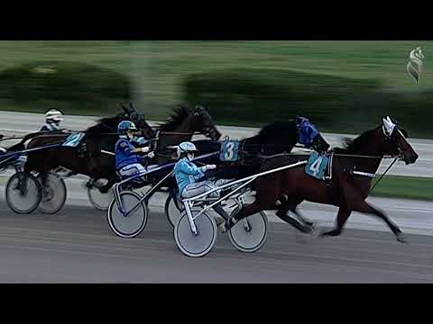 Aversa trotto 5 Gennaio 2022 - 4° Corsa