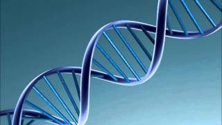 Backseat Freestyle (DNA Remix) rap