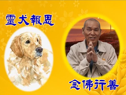 周道