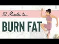 12 Minutes to Burn Fat - Low Impact Cardio Workout