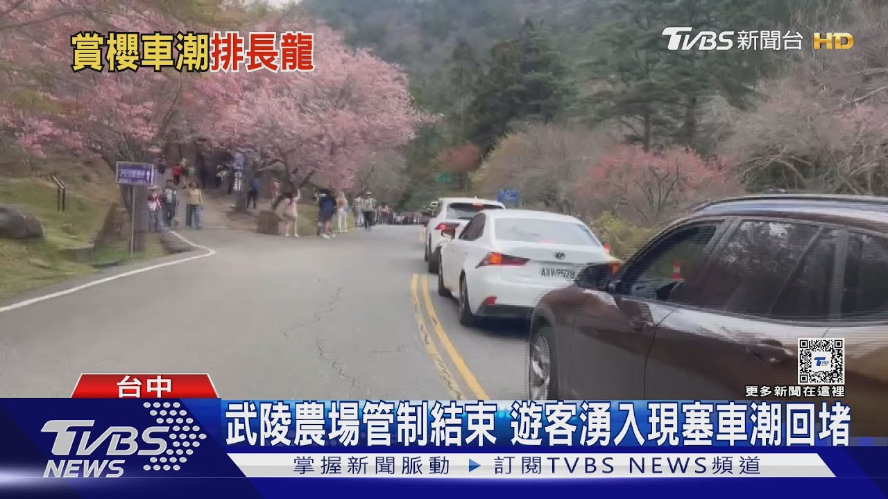 武陵農場管制結束 遊客湧入現塞車潮回堵