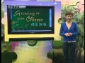 Growing up with Chinese - Lesson 6