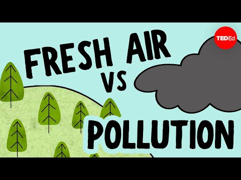 What Exactly Is In The Air We Breathe?