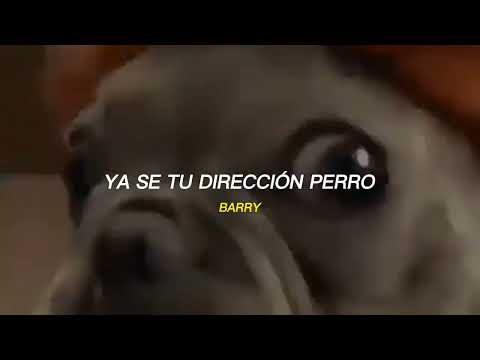 Carlos hijo de perro, ahora si voy a descuartizarte // letra