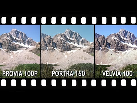 Slide Film vs Color Negative: Portra 160, Provia 100F & Velvia 100