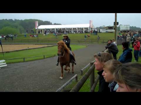 Kronshof-special - T2-VE - www.isibless.de