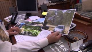 Major marijuana farm busted in Madison County.