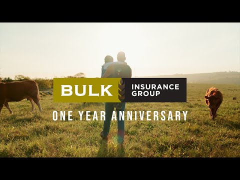 One Year Anniversary at Bulk Insurance Group