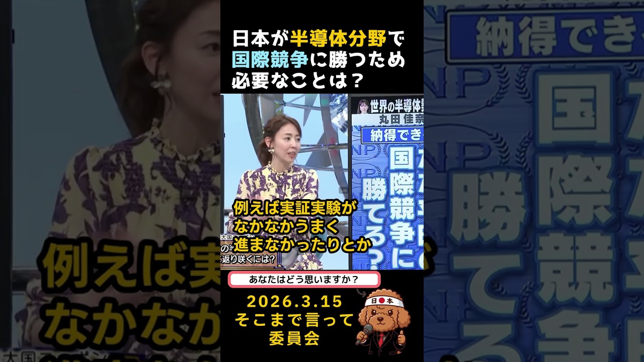 日本の半導体産業が世界競争に勝つために必要なこと #政治 #国会