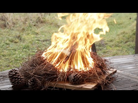 L'éclade de moules (made in Lorraine)