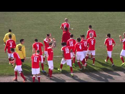 Varese Calcio - 2015/2016 - Promozione in Serie D