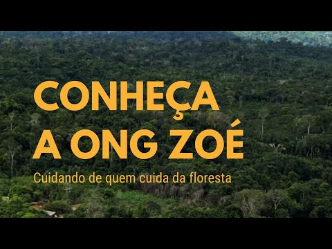 ONG Zoé - Saúde para quem cuida da Floresta Amazônica Miniatura de vídeo do YouTube 3